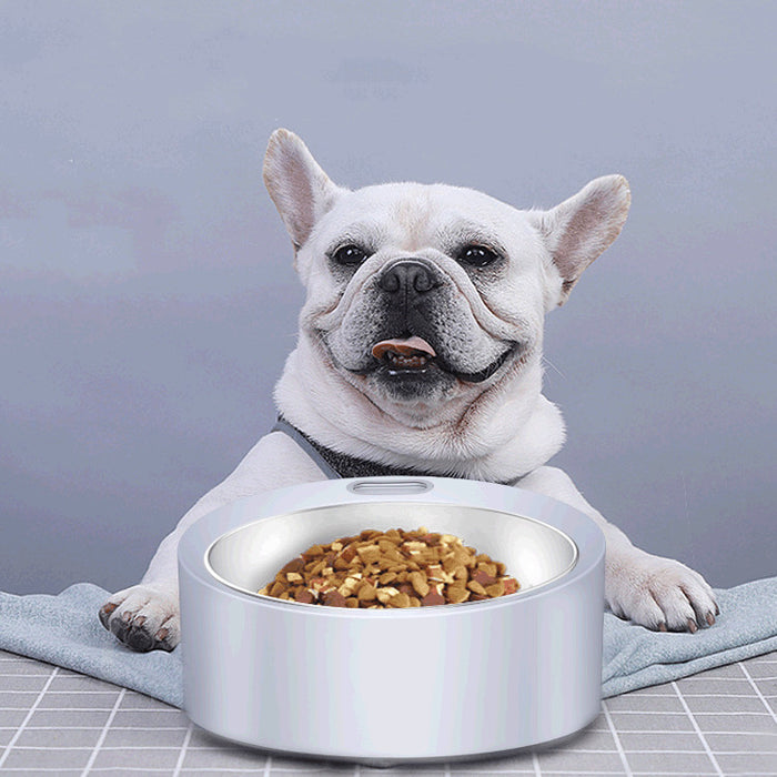 Food Feeder Stainless Steel Bowl Detaches for easy cleaning