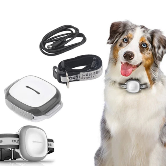 GPS Pet Tracker Collar for Cats and Dogs