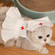 Fashionable Cat Dress Set for Special Occasions