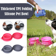 Foldable Rubber Travel Pet Feeding Bowl