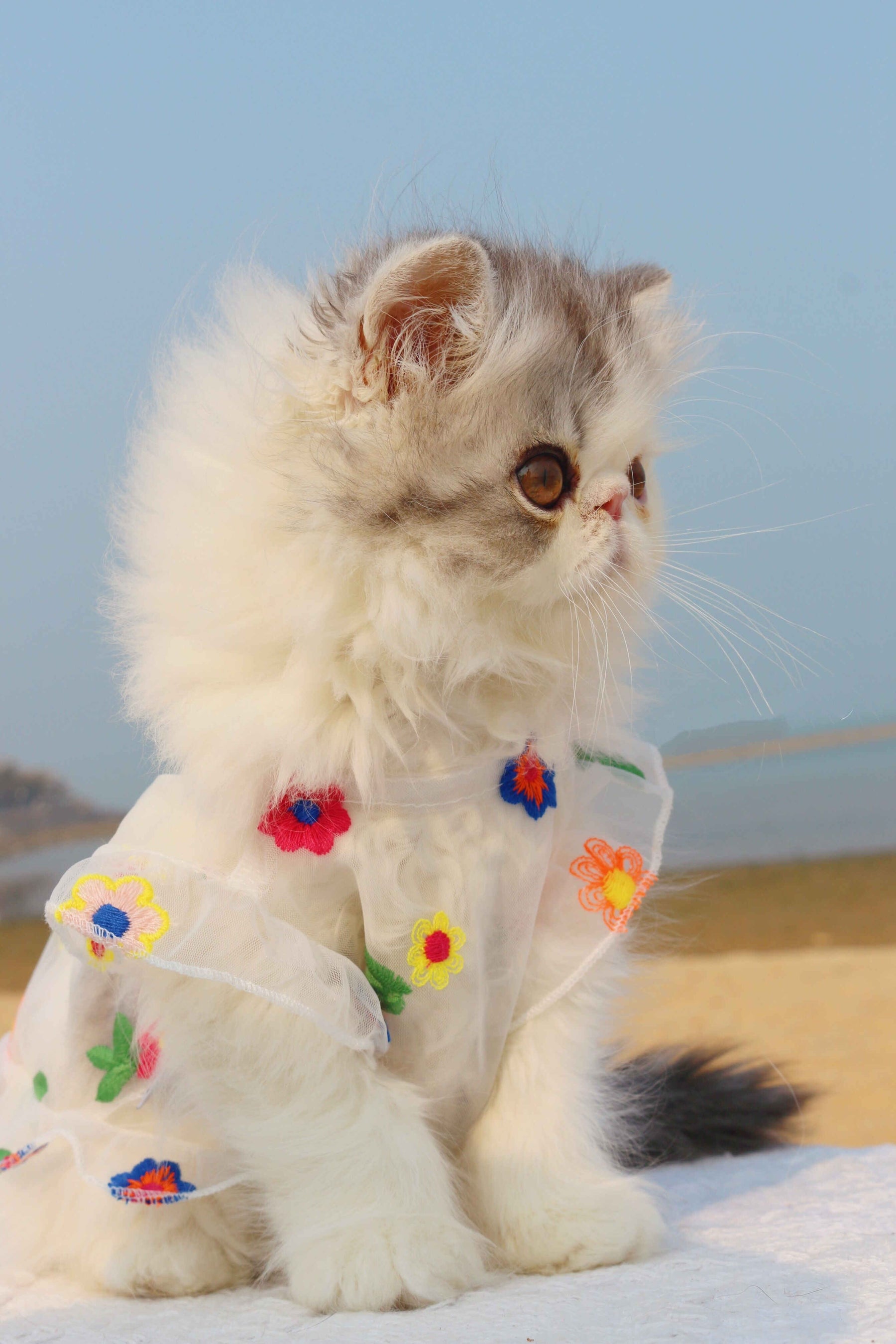 Floral Embroidery Mesh Dress for Cats and Small Dogs