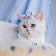 Fashion Bow and Dress Set for Cats