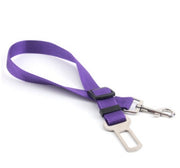 Heavy-Duty Polyester Cargo Strap for Vehicles