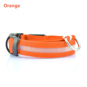 LED Safety Dog Collar for Night Visibility