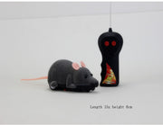 Remote Mouse cat Toy
