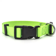 Durable Adjustable Nylon Dog Collar