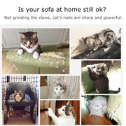 Cat Scratch Board and Mat for Furniture Protection