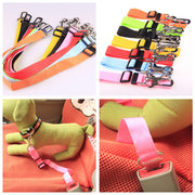 Heavy-Duty Polyester Cargo Strap for Vehicles
