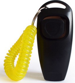 Pet Rattle Whistle Training Device