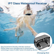 Remote Control Pet Training Device with Vibration