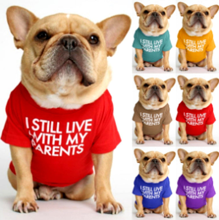 Dog Breed Print Turtleneck Pet Sweater