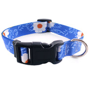 Bohemian Print Dog Collar with Vibrant Design