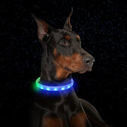 USB Rechargeable LED Flash Safety Collar for Dogs