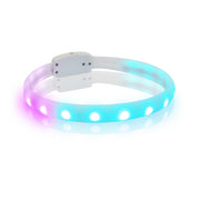 USB Rechargeable LED Flash Safety Collar for Dogs