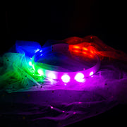 USB Rechargeable LED Flash Safety Collar for Dogs