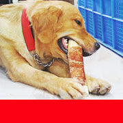 Dental Chew Bones for Dogs