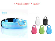 LED Safety Dog Collar for Night Visibility