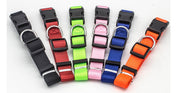 Durable Adjustable Nylon Dog Collar