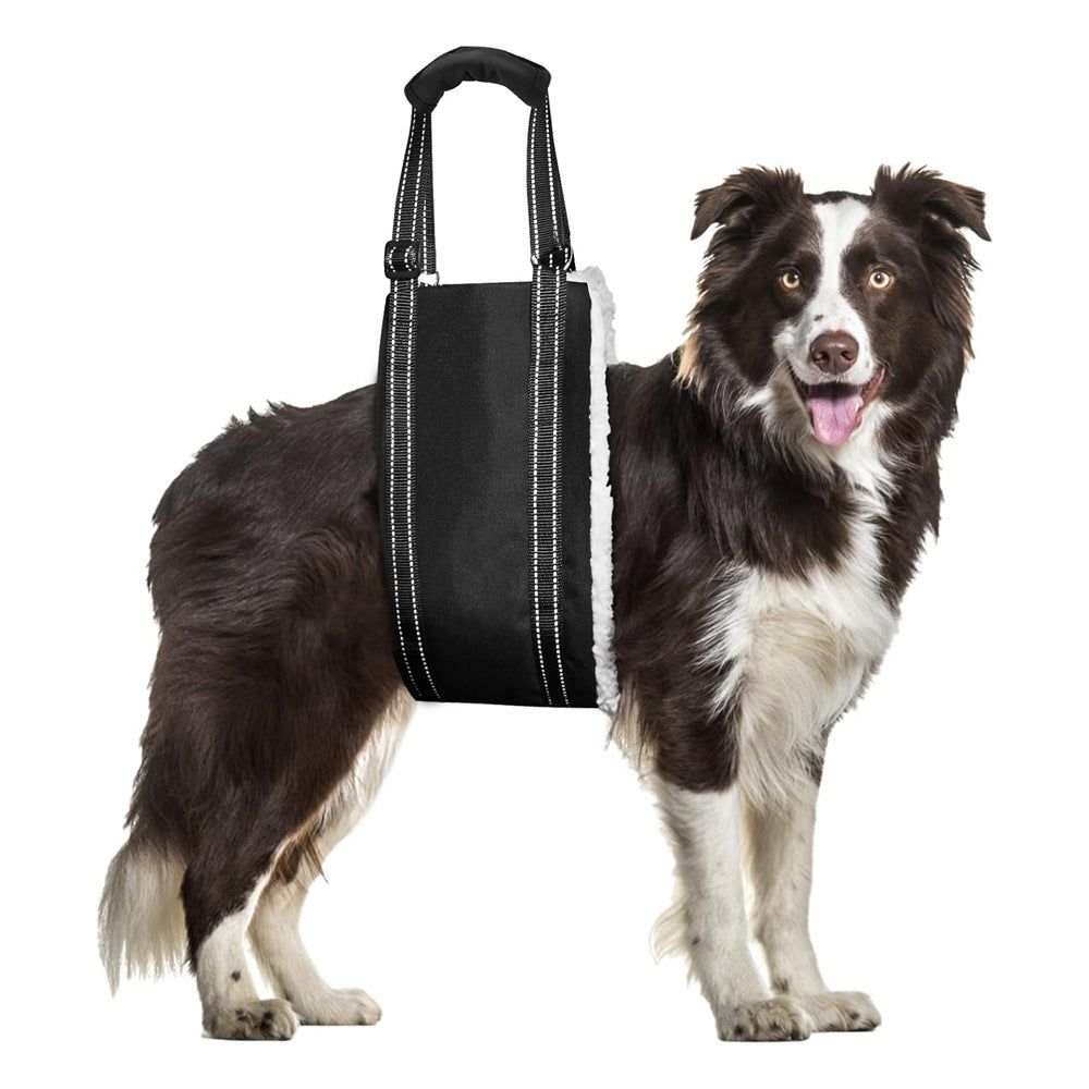 Adjustable Dog Rehabilitation and Support Training Belt