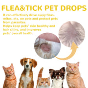 External Parasite Skin Care for Cats and Dogs