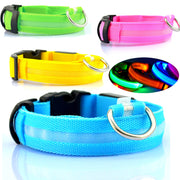 LED Safety Dog Collar for Night Visibility