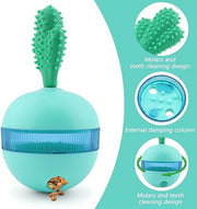 Interactive Treat Dispensing Toy for Pets