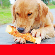 Dental Chew Bones for Dogs