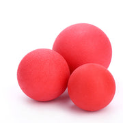 Solid Rubber Bouncy Ball Dog Toy
