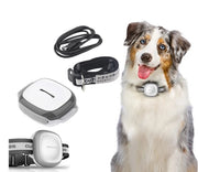 GPS Pet Tracker Collar for Cats and Dogs
