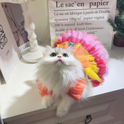 Elegant Lace Mesh Dress for Cats and Dogs