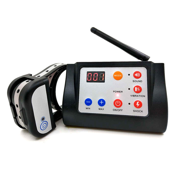 Two-in-One Dog Training Device