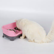 Bowl double basin splash-proof for Cats or Dogs