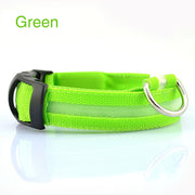 LED Safety Dog Collar for Night Visibility