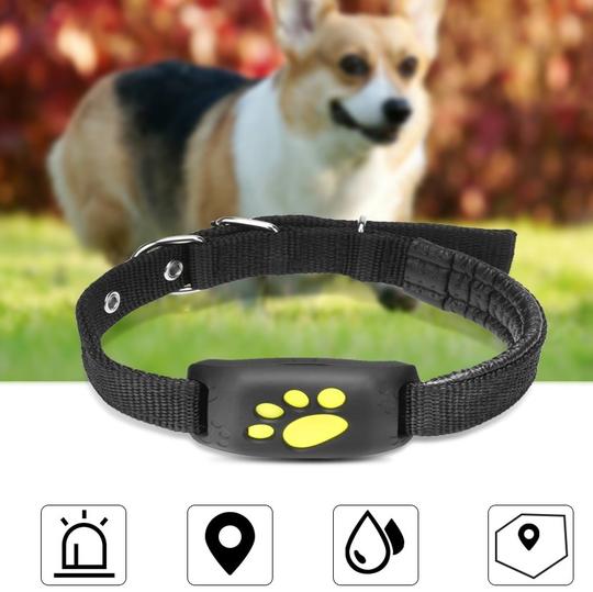 Real-Time GPS Pet Tracker for Collar