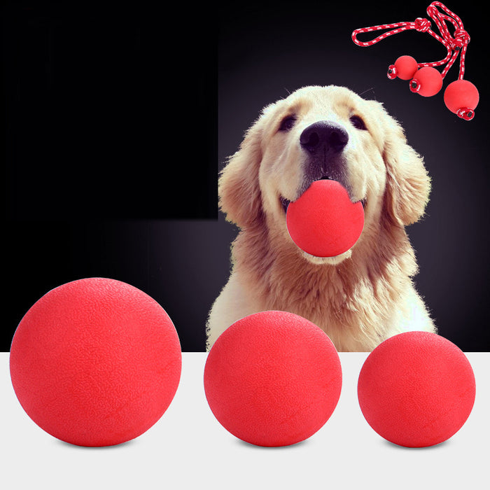 Solid Rubber Bouncy Ball Dog Toy