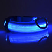 LED Safety Dog Collar for Night Visibility