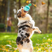 Interactive Treat Dispensing Toy for Pets