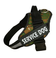 Personalized No-Pull Reflective Dog Harness