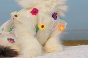 Floral Embroidery Mesh Dress for Cats and Small Dogs