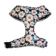 Floral Dog Harness and Leash Set