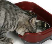 Bowl double basin splash-proof for Cats or Dogs