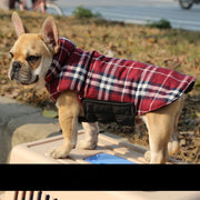 Adjustable Outdoor Pet Vest for Dogs