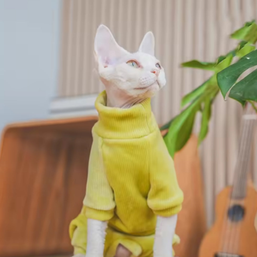 Fleece-Lined Warm Garment for Hairless Devon Cats