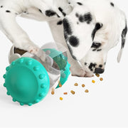 Interactive Treat-Dispensing Balance Toy for Pets