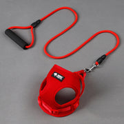 Secure Adjustable Harness for Small Dogs