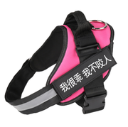 Personalized No-Pull Reflective Dog Harness