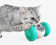 Interactive Treat-Dispensing Balance Toy for Pets