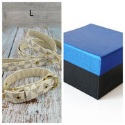 Classic Pet Collar with Leash Set