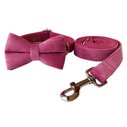 Leash and Rose Red Velvet Dog Collar Bow Tie