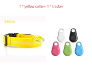 LED Safety Dog Collar for Night Visibility